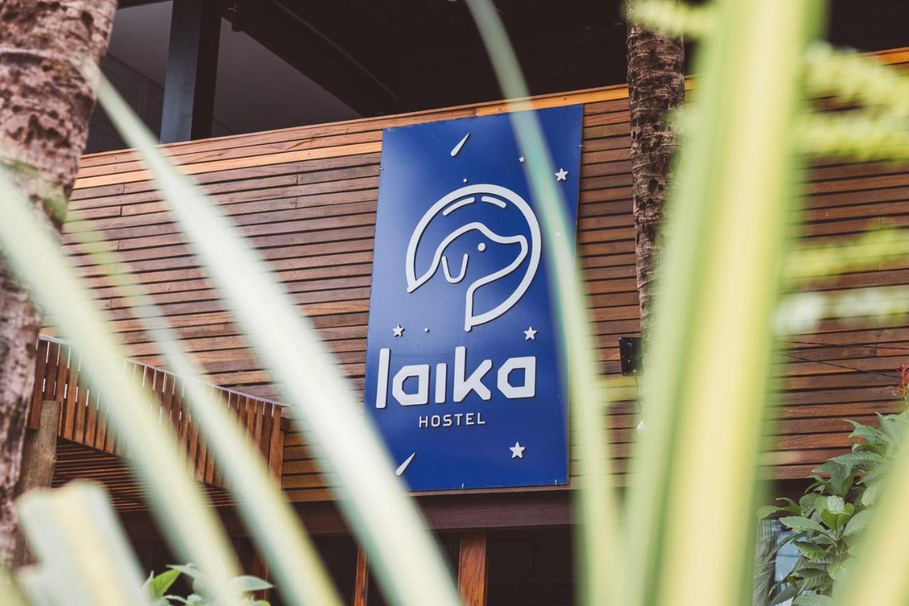 Laika Hostel Camburi  Εξωτερικό φωτογραφία